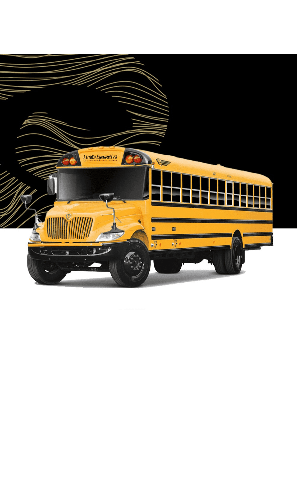 Bus Escolar